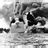 bugmenot boyfriendtv|Twitter.